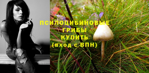 крисы Арсеньев