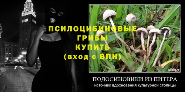 соль ск Армянск