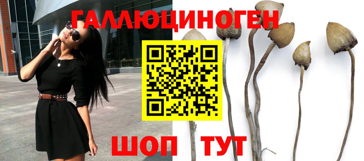 Балтийск  Галлюциногенные грибы ЛСД  Вход с VPN 